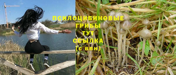 мескалин Абинск
