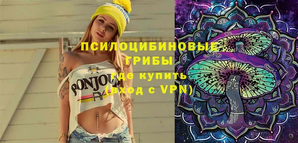 а пвп мука Абаза