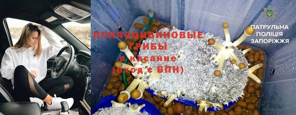 а пвп мука Абаза