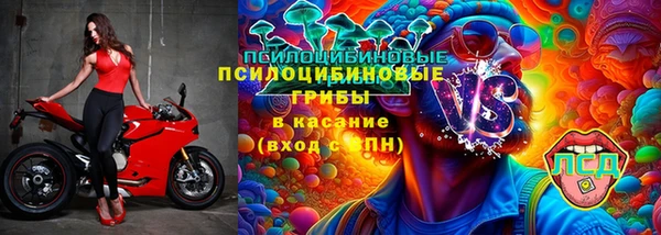 мдпв Абдулино