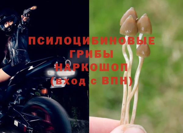 амф Алзамай