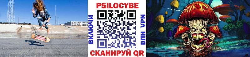 Псилоцибиновые грибы мицелий  купить  сайты  Тутаев 